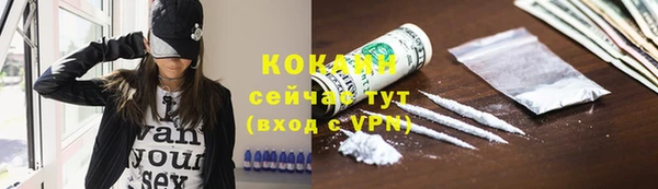 спайс Беломорск