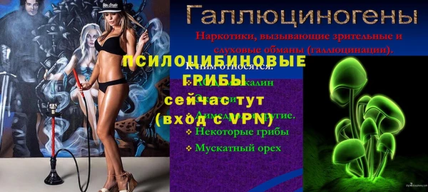 не бодяженный Белокуриха
